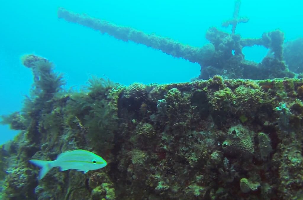 The Wreck Dive C-56 (Juan Escutia)